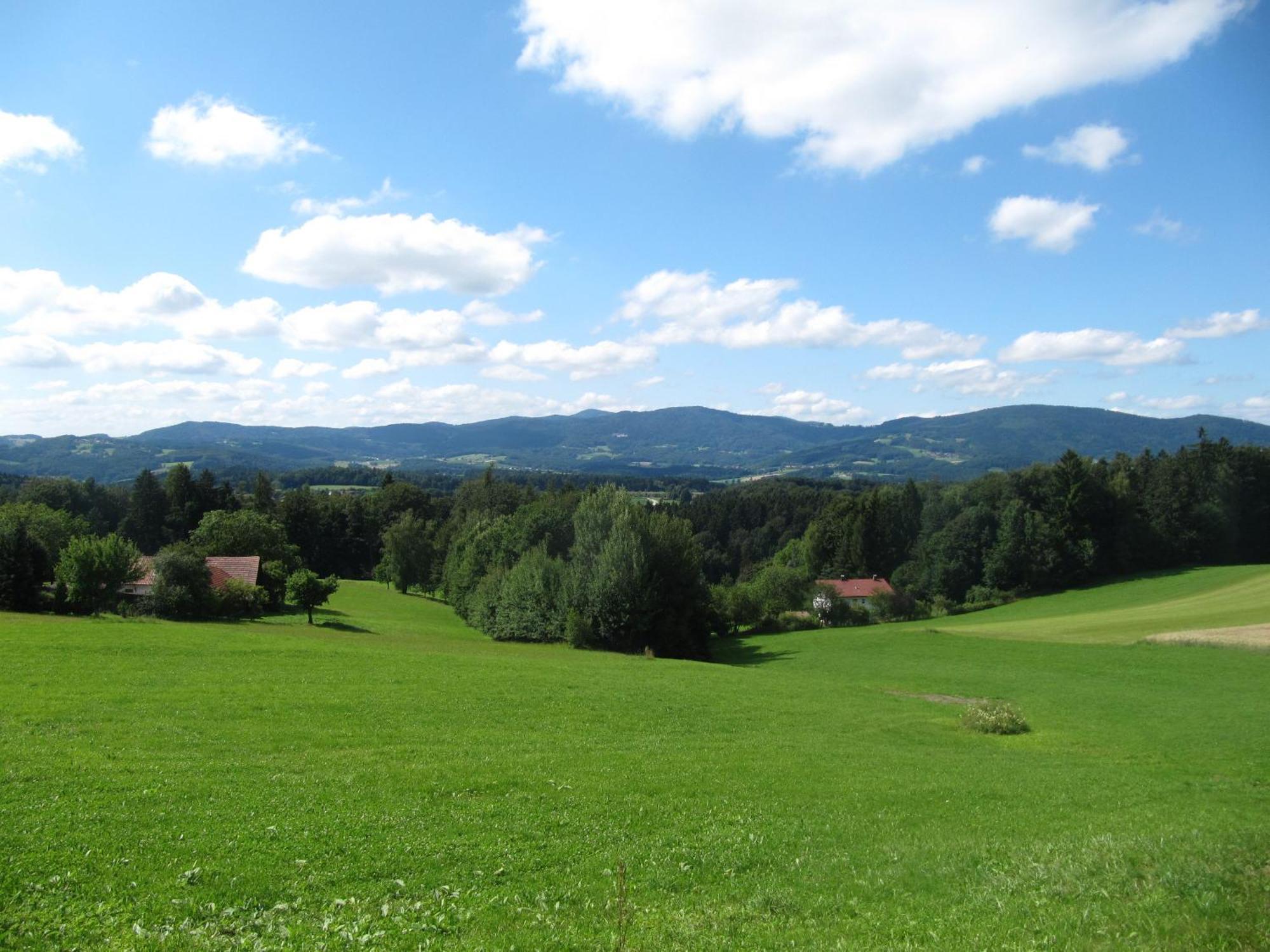 Buechelsteiner Hof Hotel Grattersdorf ภายนอก รูปภาพ